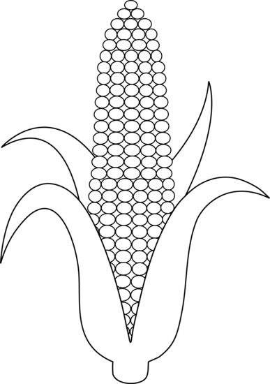 Lineart of corn to color in free clip art ears of corn coloring pages coloring pages free clip art clip art