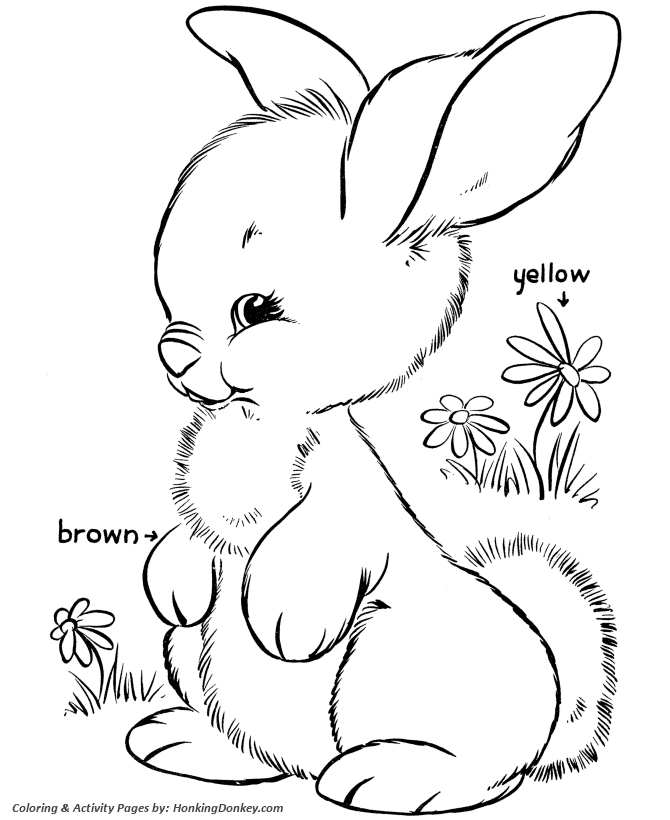 Easter bunny coloring pages