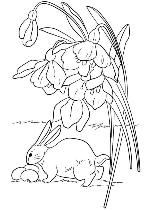 Little bunny with easter eggs and flowers coloring page