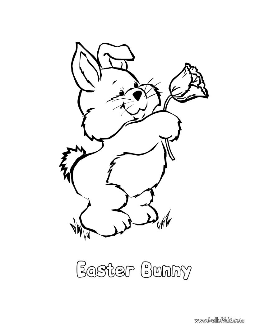 Rabbit and spring flower coloring pages