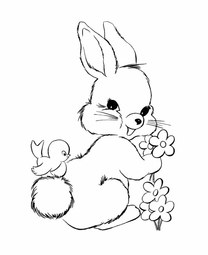 Cute bunny coloring pages pdf for kids activity