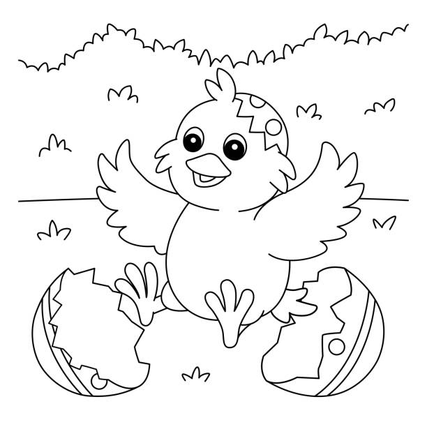 Chick coloring pages stock illustrations royalty