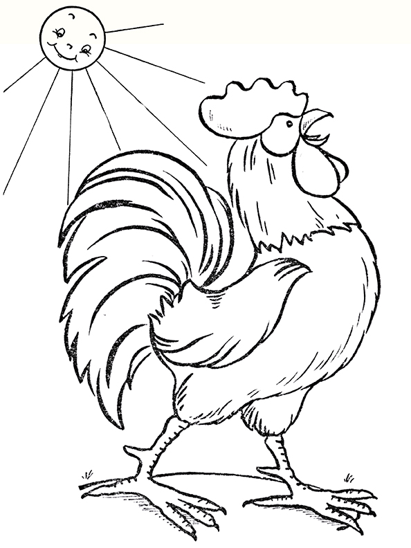 Chicken coloring pages