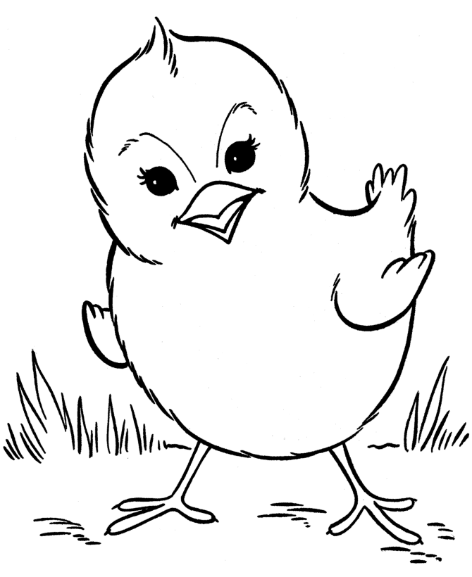 Easter chick coloring pages