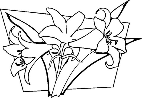 Lilies coloring page free printable coloring pages