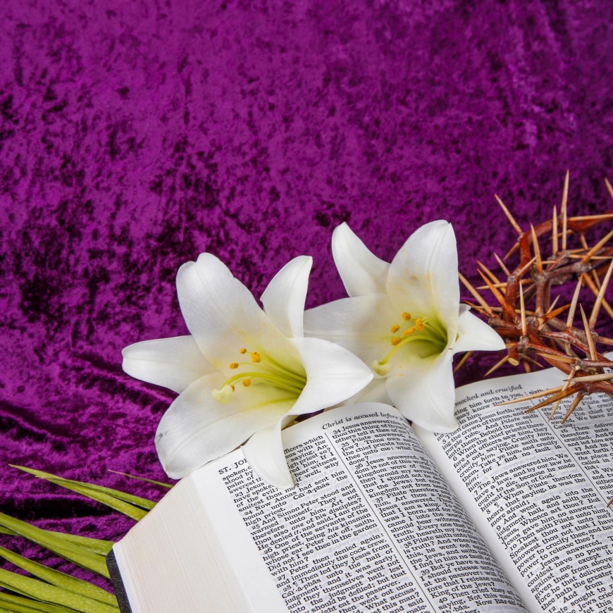 Meaning behind easter lilies