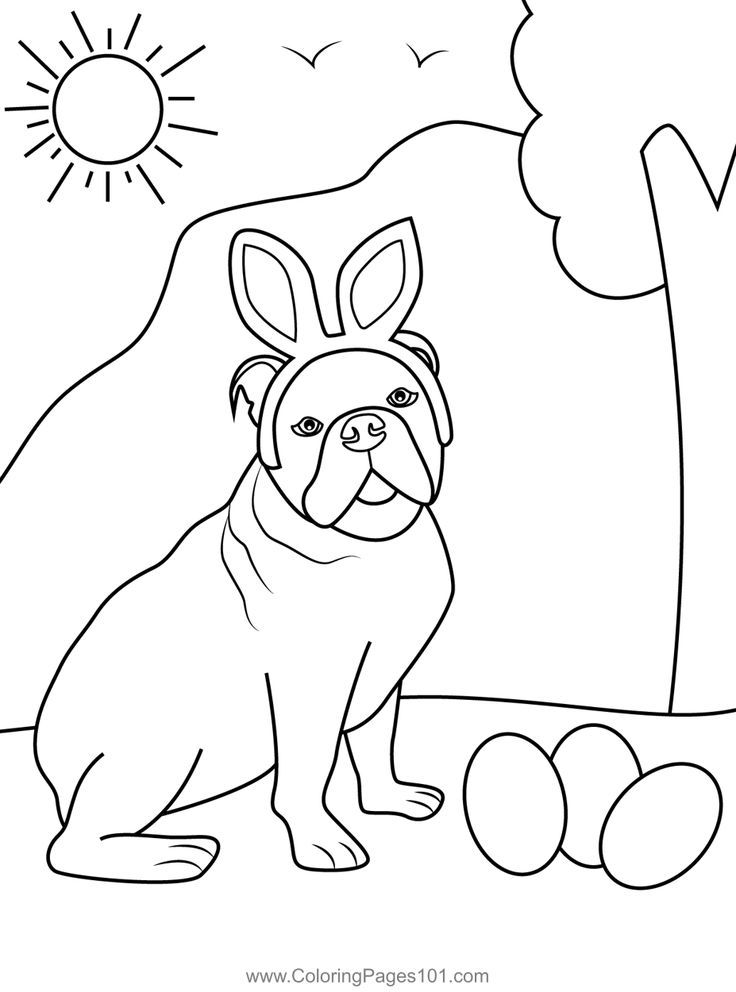 Easter dog colorg page dog colorg page easter dog colorg pages