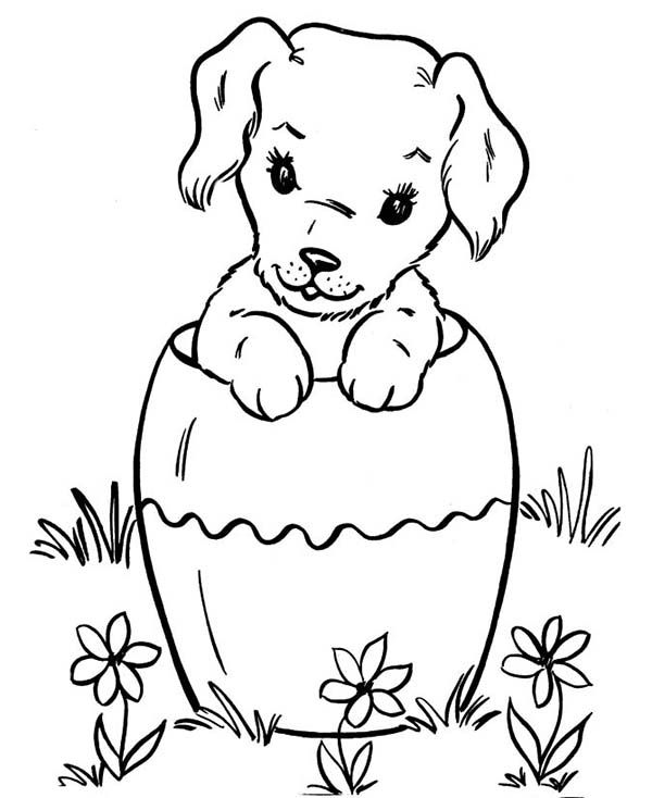 Dog hiding in big vase coloring page color luna dog coloring page puppy coloring pages easter coloring pages