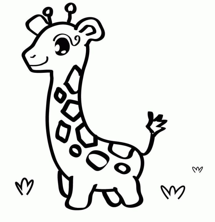 Animal coloring pages