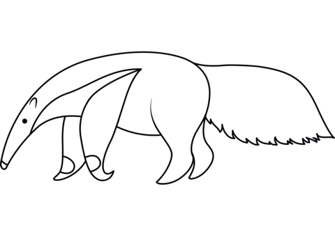 Anteater coloring pages free coloring pages