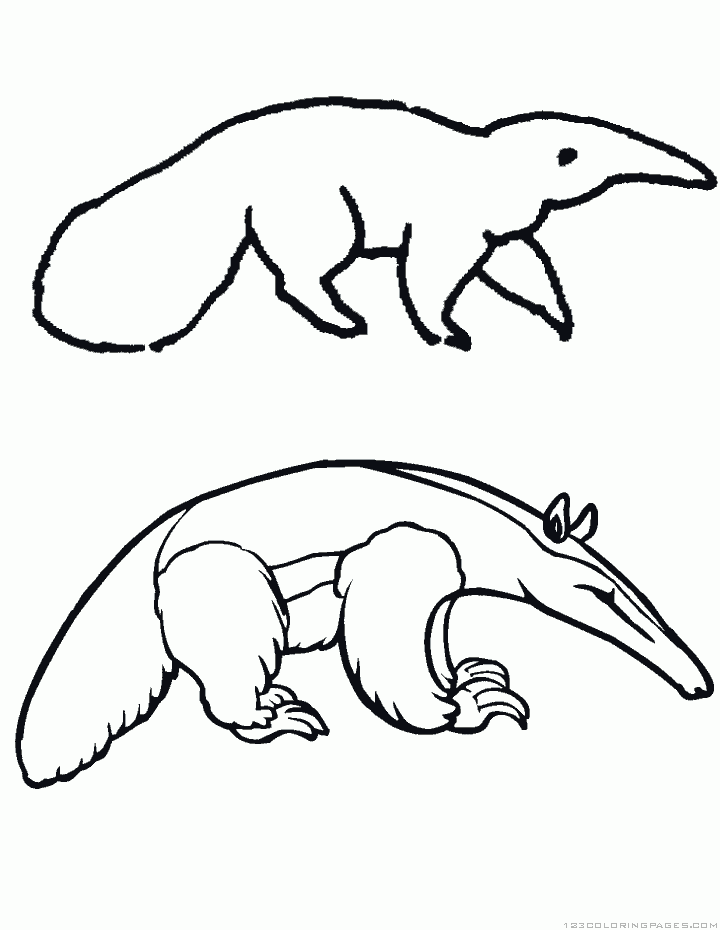 Anteater coloring pages