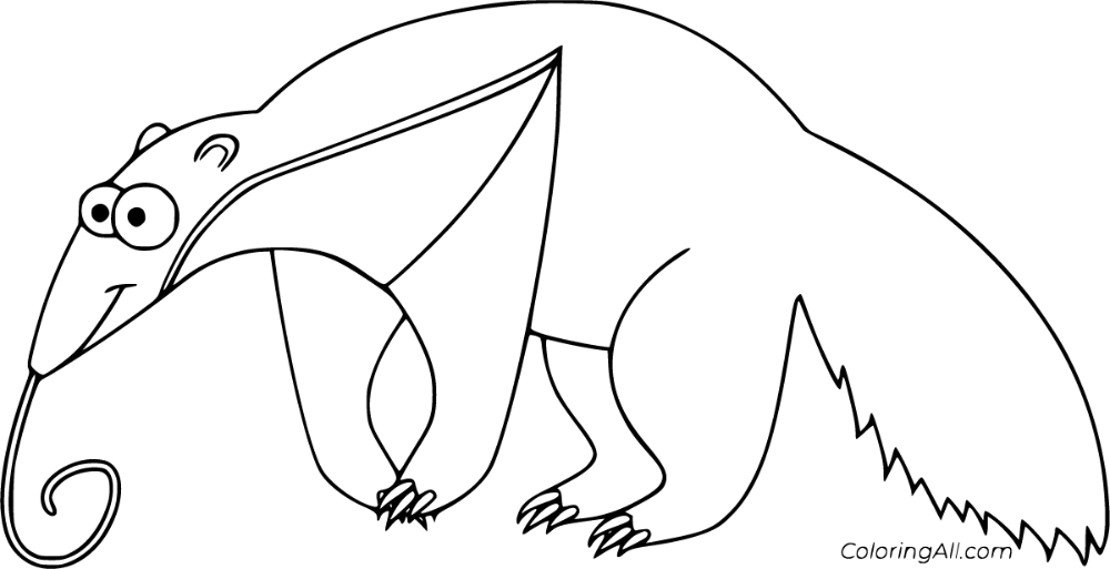 Free printable anteater coloring pages in vector format easy to print from any device and automatically fit any paper size coloring pages anteater color