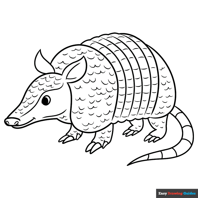 Armadillo coloring page easy drawing guides