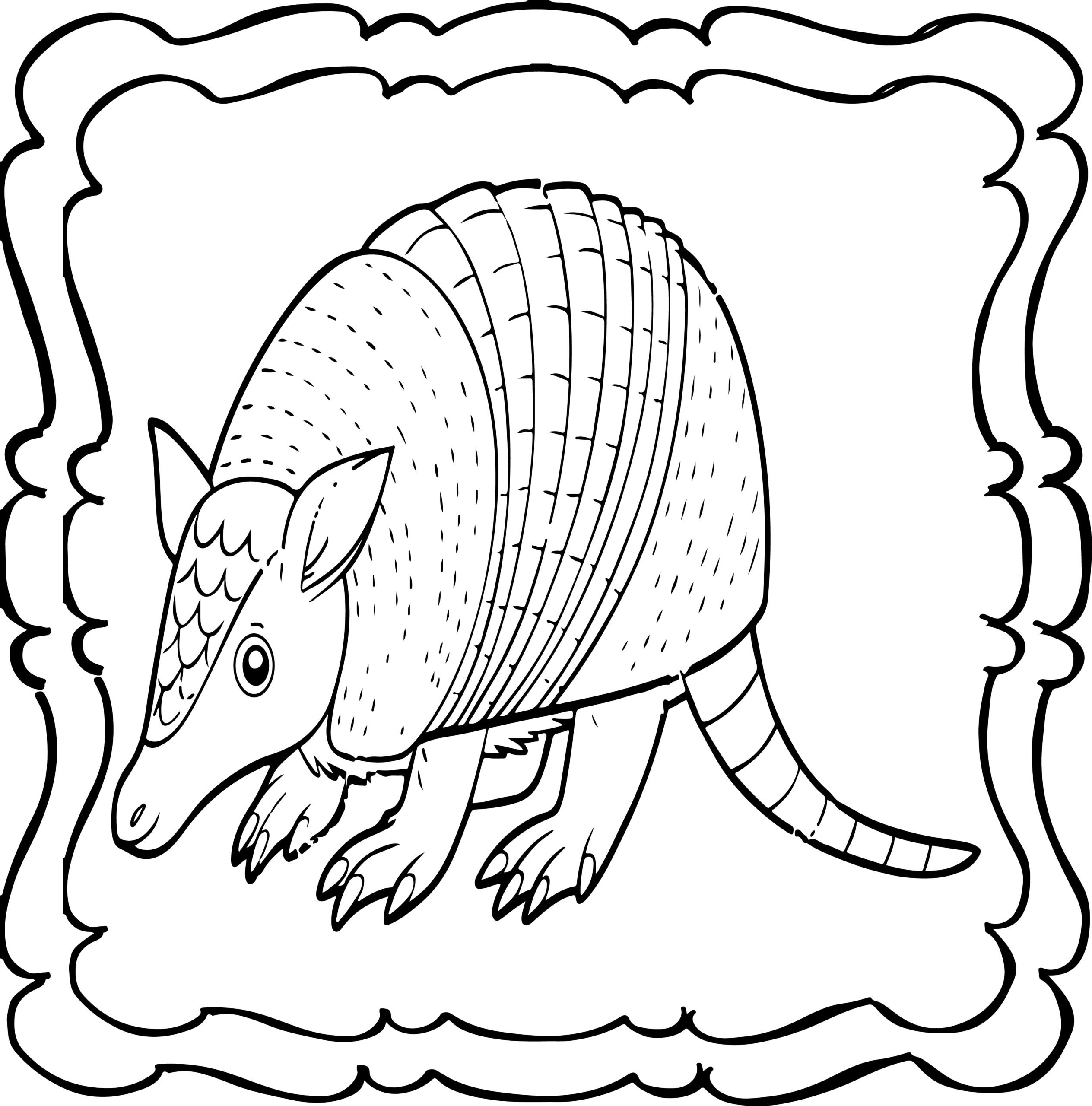 Armadillo coloring book easy and fun armadillos colouring book for kids made by teachers