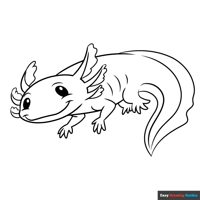 Axolotl coloring page easy drawing guides