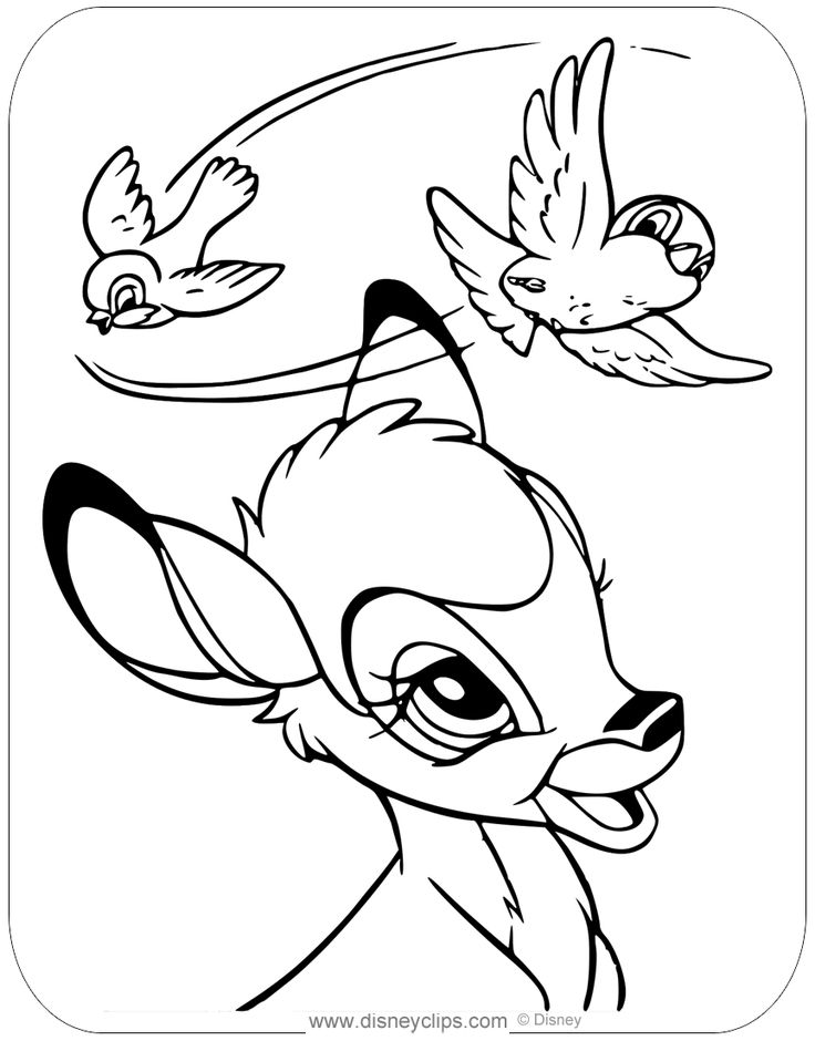 Coloring page of bambi admiring a pair of birds flying overhead bambi disney coloring pages animal coloring pages coloring pages