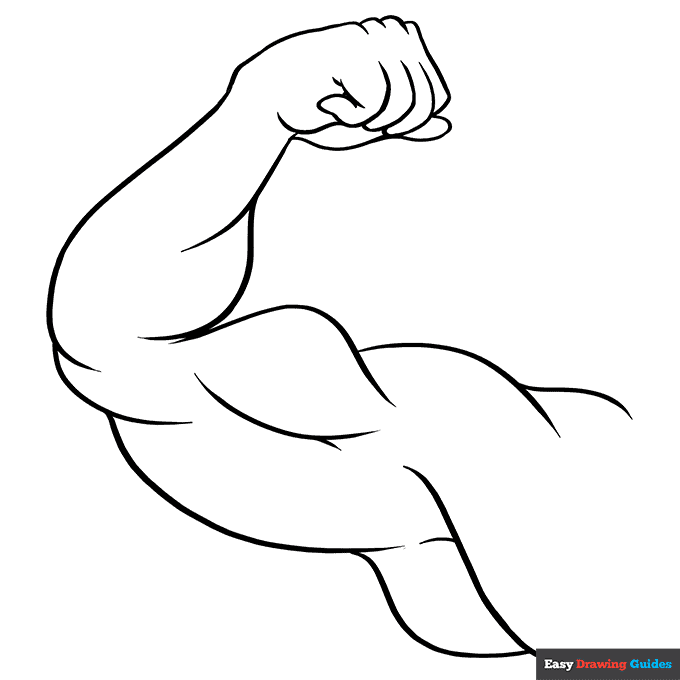 Biceps coloring page easy drawing guides