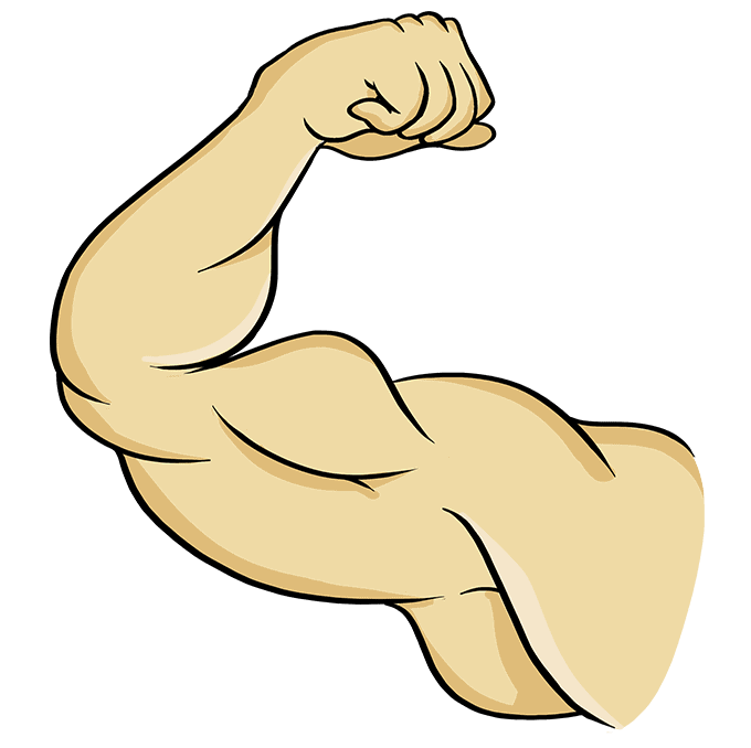 How to draw a biceps