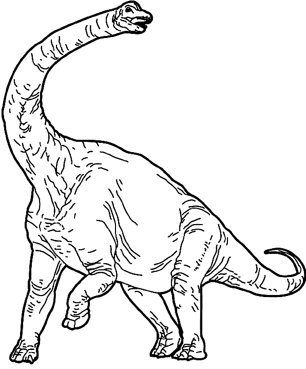Brachiosaurus coloring pages printable for free download