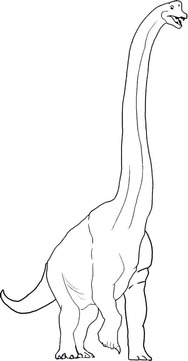 Long neck dinosaurus brachiosaurus coloring page color luna dinossauros arte tema de dinossauro dinossauro desenho