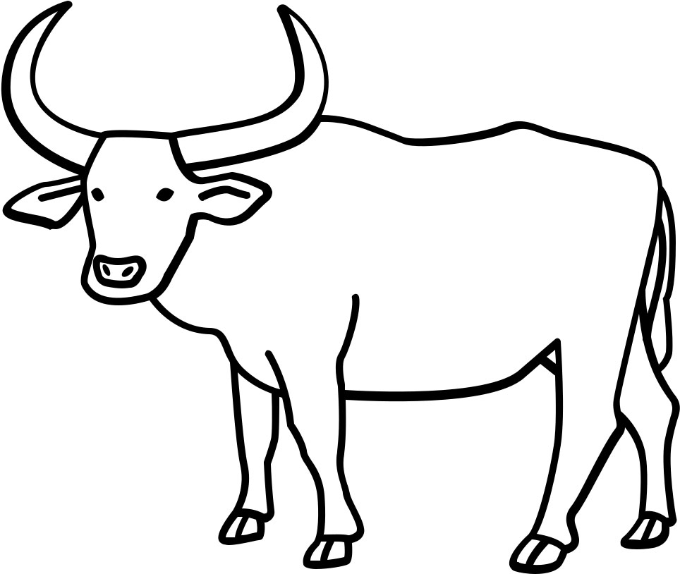 Buffalo coloring pages