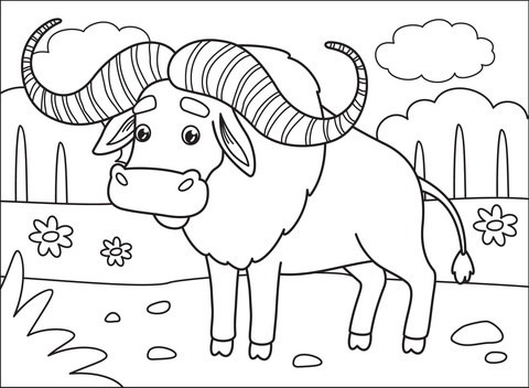 Buffalo coloring page free printable coloring pages