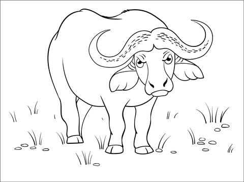 Buffalo coloring page free printable coloring pages