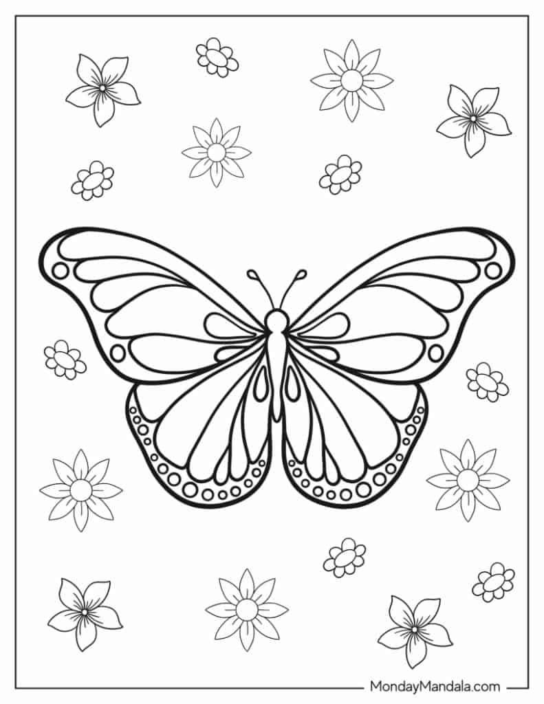 Butterfly coloring pages free pdf printables