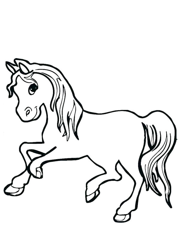 Coloring pages animated baby horse coloring page