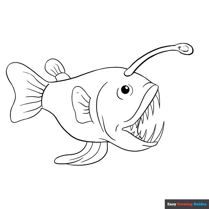 Angler fish coloring page easy drawing guides