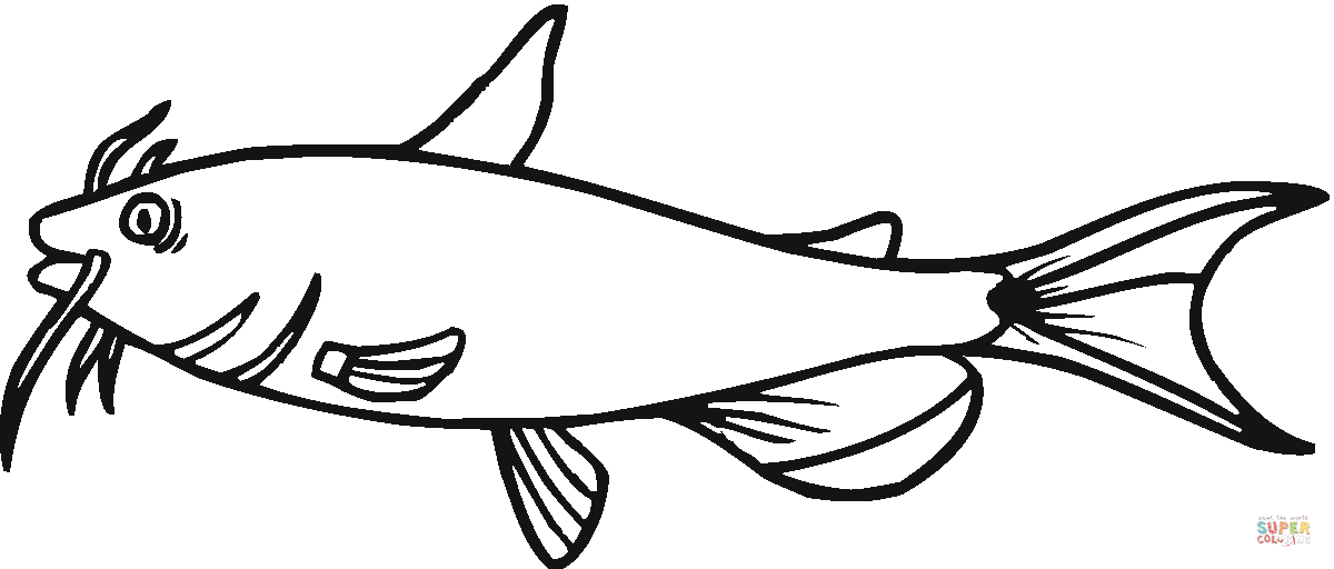 Catfish coloring page free printable coloring pages