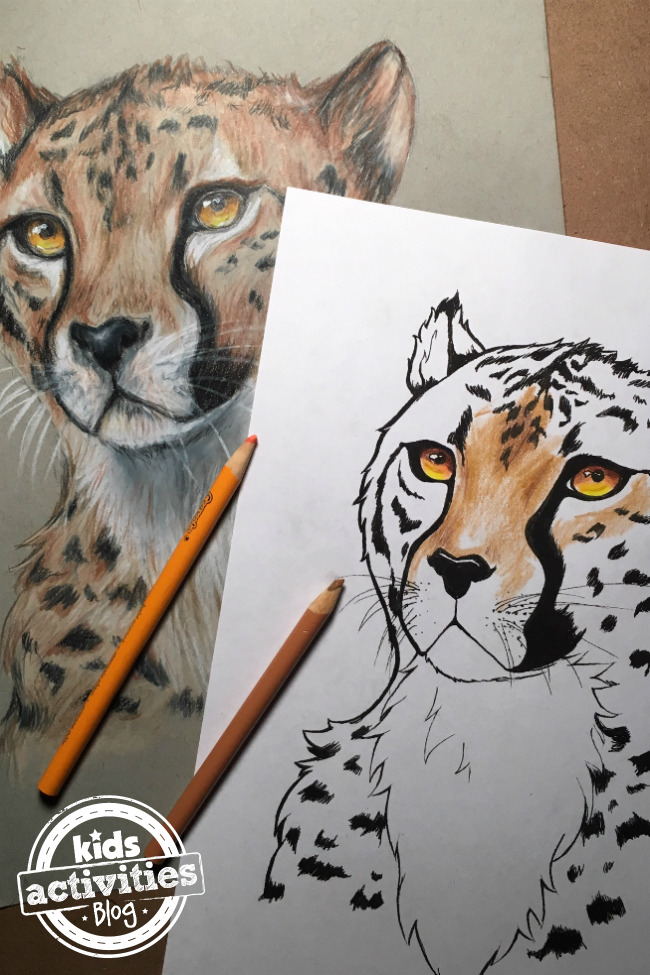 Awesome cheetah coloring pages for kids adults with video tutorial kab
