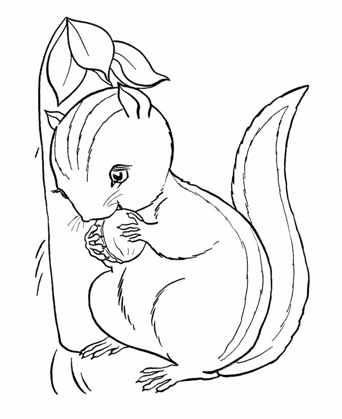 Playful chipmunk coloring page for kids