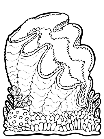 Giant clam coloring page free printable coloring pages