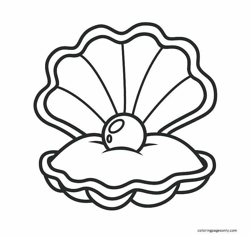 Clam coloring pages printable for free download