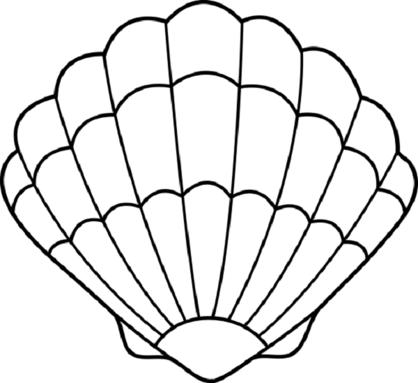 Clam shell coloring pages coloring kids seashell drawing shell drawing sea shells