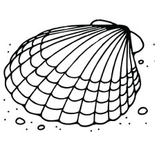 Top free printable shell coloring pages online