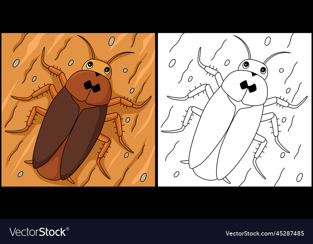 Cockroach drawing pictures vector images