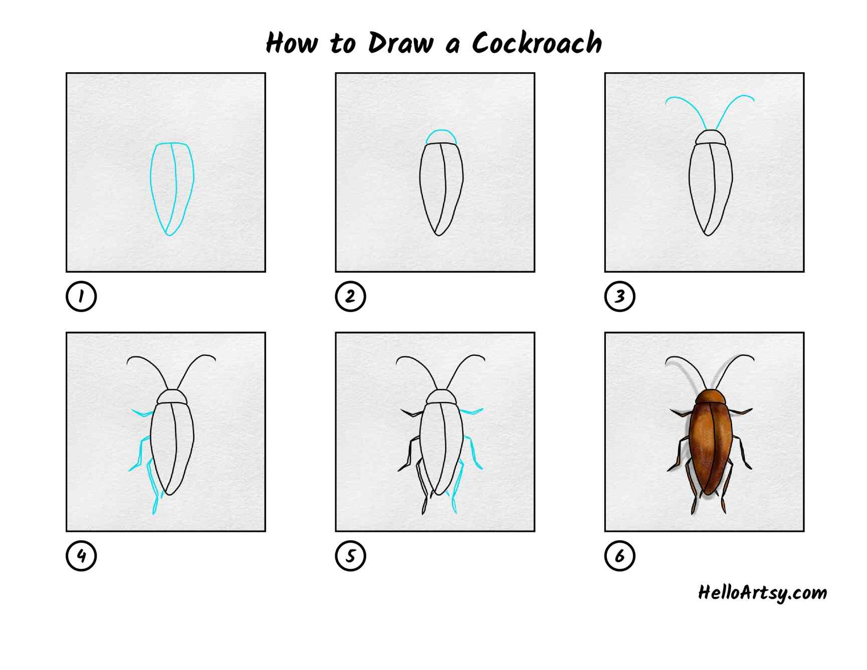 How to draw a cockroach