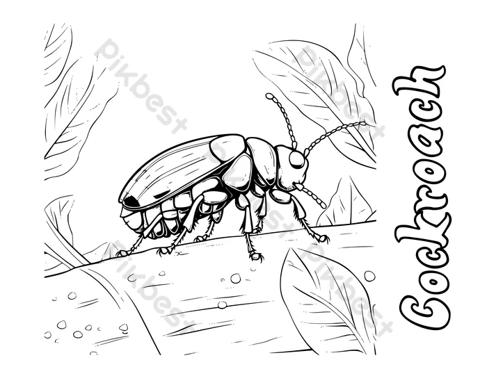 Cockroach coloring page for kids png images eps free download