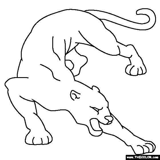 Cougar coloring page coloring pages animal coloring pages free coloring pages