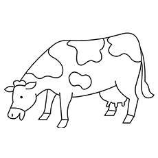 Top free printable cow coloring pages online