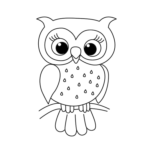 Premium vector vector illustration of owl isolated on white background for kids coloring book