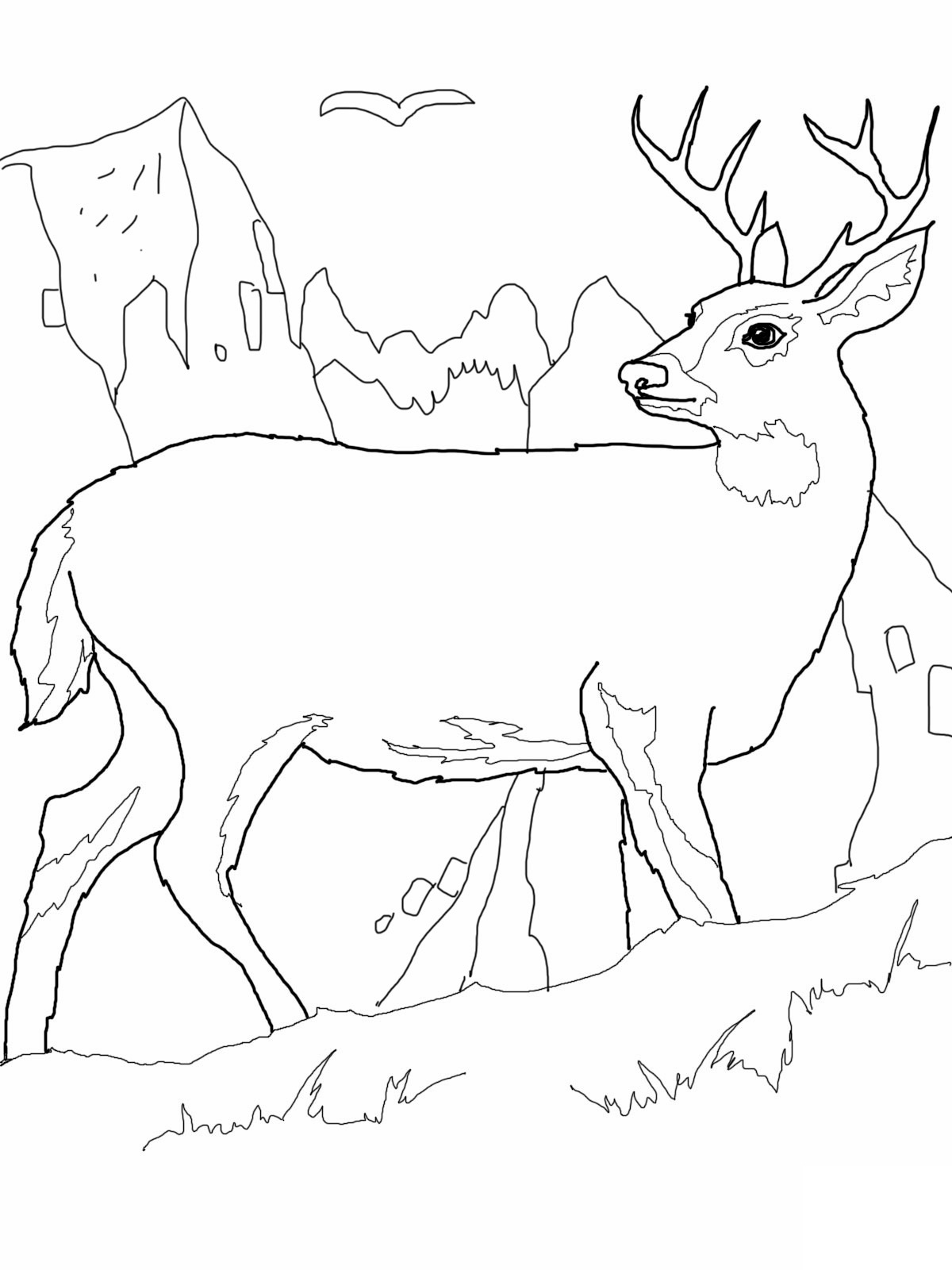 Free printable deer coloring pages for kids