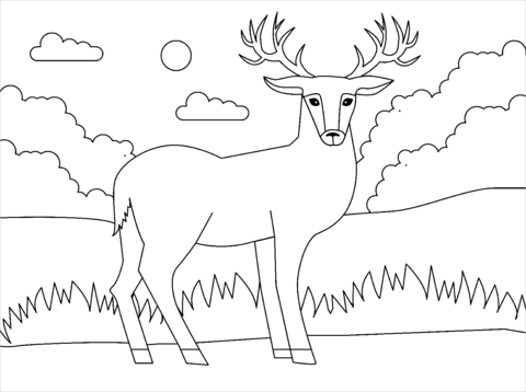 Deer coloring page free printable coloring pages