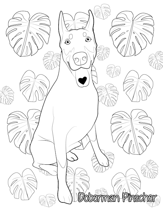 Doberman coloring page dog coloring page