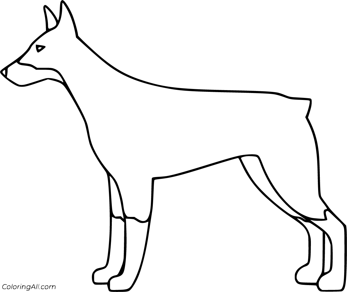 Doberman coloring pages