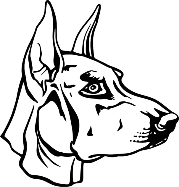 Dobermann coloring pages