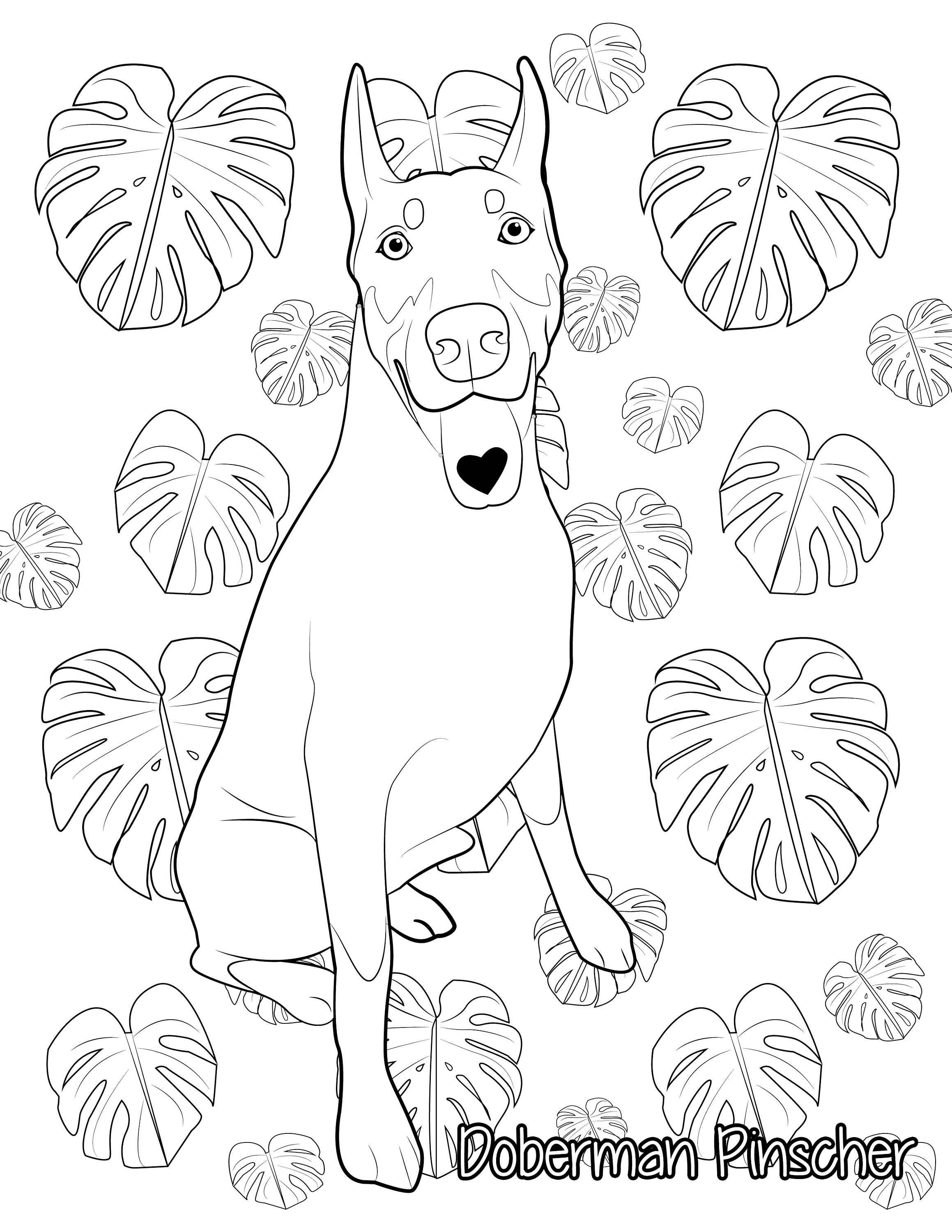 Doberman coloring page dog coloring page