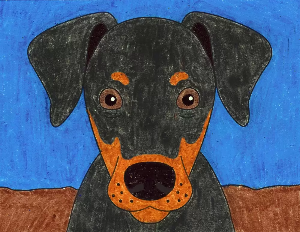 How to draw a doberman dog